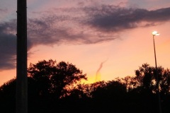 IMG_20220709_215622_2