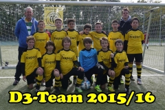 D3 2015/16
