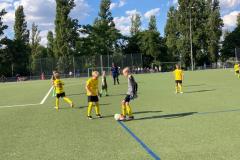 Bild-3